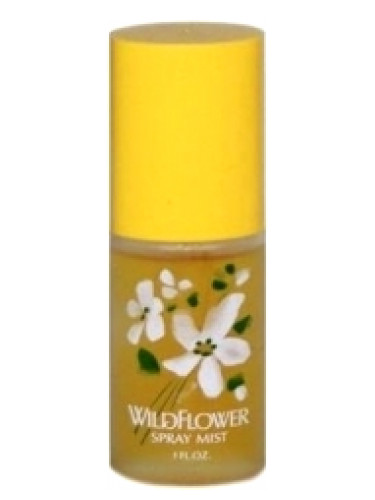 عطر ادکلن وایلد فلاور آلیسا اشلی - Wildflower Alyssa Ashley - بررسی، قیمت و خرید