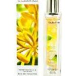 عطر ادکلن جاسمین اند هانی‌ساکل مارکس اند اسپنسر - Jasmine and Honeysuckle Marks & Spencer - بررسی، قیمت و خرید