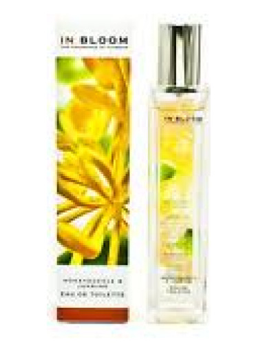 عطر ادکلن جاسمین اند هانی‌ساکل مارکس اند اسپنسر - Jasmine and Honeysuckle Marks & Spencer - بررسی، قیمت و خرید