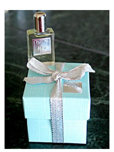 عطر ادکلن ما پلاس بل ایستوار دامور دی‌اِس‌اِچ پرفیومز - Ma Plus Belle Histoire d’Amour DSH Perfumes - بررسی، قیمت و خرید