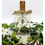 عطر ادکلن جَزْمین آنجلا فلندرز - Jasmine Angela Flanders - بررسی، قیمت و خرید