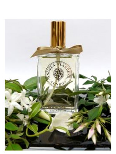 عطر ادکلن جَزْمین آنجلا فلندرز - Jasmine Angela Flanders - بررسی، قیمت و خرید