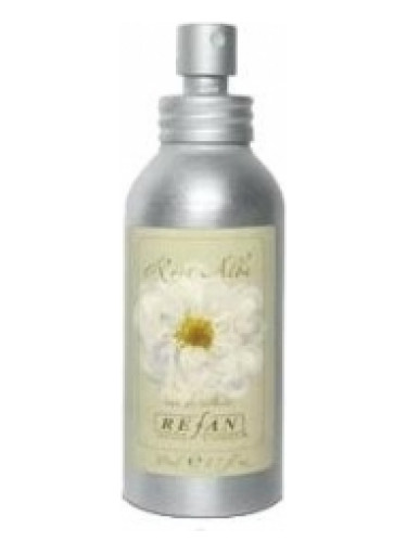 عطر ادکلن رزا آلبا ری‌فان - Rosa Alba Refan - بررسی، قیمت و خرید