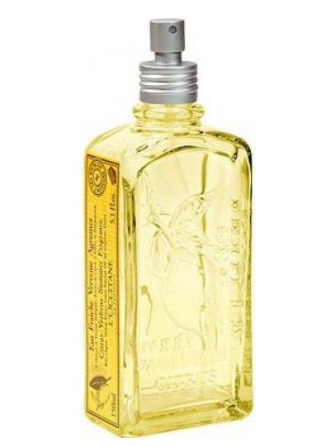 عطر ادکلن سیترس وربنا سامر لوکستان - Citrus Verbena Summer L'Occitane en Provence - بررسی، قیمت و خرید