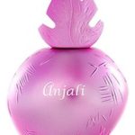 عطر ادکلن آنچلی رمنیسنس - Anjali Reminiscence - بررسی، قیمت و خرید