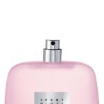 عطر ادکلن سنت گلاس کاستوم نشنال - Scent Gloss CoSTUME NATIONAL - بررسی، قیمت و خرید