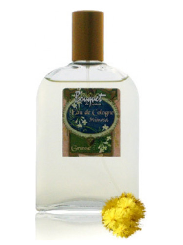 عطر ادکلن اُ دُ کولون ميموسا گای بوچارا - Eau de Cologne Mimosa Guy Bouchara - بررسی، قیمت و خرید