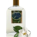 عطر ادکلن اودوکلن مگنولیا گای بوچار - Eau de Cologne Magnolia Guy Bouchara - بررسی، قیمت و خرید