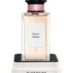 عطر ادکلن شیپر کارس ژیوانشی - Chypre Caresse Givenchy - بررسی، قیمت و خرید