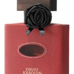 عطر ادکلن کویغ دو غِو دیوید ژورکان - Cuir de R'Eve David Jourquin - بررسی، قیمت و خرید