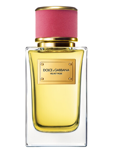 عطر ادکلن ولوت رز دولچه اند گابانا - Velvet Rose Dolce&Gabbana - بررسی، قیمت و خرید