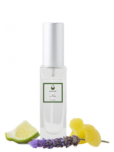 عطر ادکلن نو سون اِف اِل پَرفیومز - No 7 FL Parfums - بررسی، قیمت و خرید