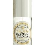 عطر ادکلن گاردنیا کولونیا ولووسپا - Gardenia Colonia Voluspa - بررسی، قیمت و خرید