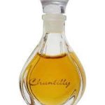 عطر ادکلن شانتی هوبیگانت - Chantilly Houbigant - بررسی، قیمت و خرید