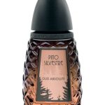 عطر ادکلن عود ابسولوت پینو سیلوستر - Oud Absolute Pino Silvestre - بررسی، قیمت و خرید