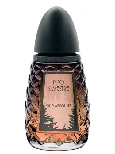 عطر ادکلن عود ابسولوت پینو سیلوستر - Oud Absolute Pino Silvestre - بررسی، قیمت و خرید
