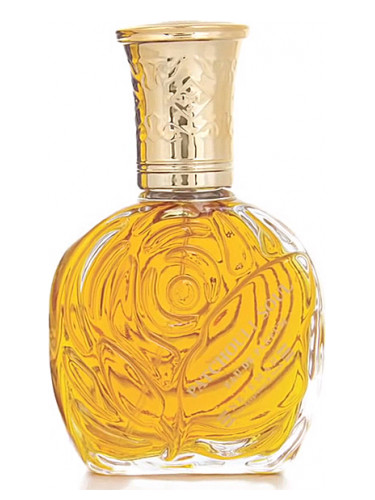 عطر ادکلن پچولی سول نعمه فور فرگرنس اند عود - Patchouli Soul Ne'emah For Fragrance & Oudh - بررسی، قیمت و خرید