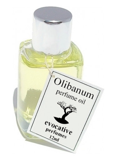 عطر ادکلن اولیبانوم ایووکتیو پرفیومز - Olibanum Evocative Perfumes - بررسی، قیمت و خرید