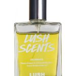 عطر ادکلن سلبرِیت لاش - Celebrate Lush - بررسی، قیمت و خرید