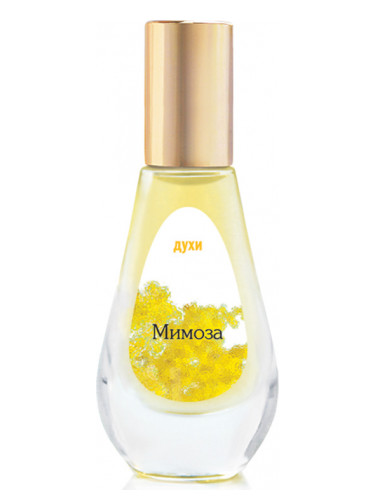 عطر ادکلن میموزا دیلیس پارفوم - Mimoza Dilís Parfum - بررسی، قیمت و خرید