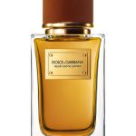 عطر ادکلن ولوت اگزاتیک لدر دولچه اند گابانا - Velvet Exotic Leather Dolce&Gabbana - بررسی، قیمت و خرید