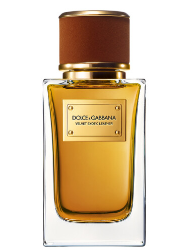 عطر ادکلن ولوت اگزاتیک لدر دولچه اند گابانا - Velvet Exotic Leather Dolce&Gabbana - بررسی، قیمت و خرید