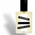 عطر ادکلن بروکن گلس بلاک برد - Broken Glass Blackbird - بررسی، قیمت و خرید