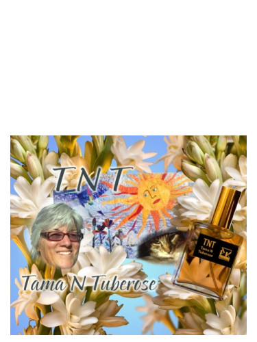 عطر ادکلن تی‌ان‌تی پی‌کی پرفیومز - TNT PK Perfumes - بررسی، قیمت و خرید
