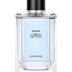عطر ادکلن کارگو دو نویت پرادا - Cargo de Nuit Prada - بررسی، قیمت و خرید