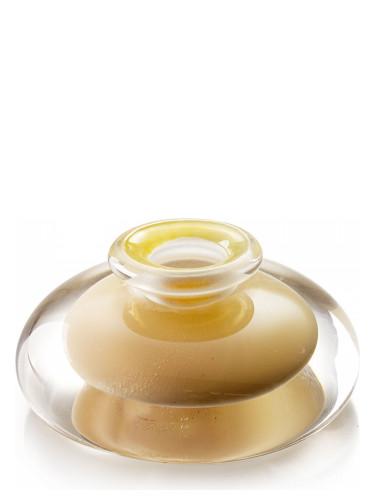 عطر ادکلن نامیبیا فریزر پرفیوم - Namibia Frazer Parfum - بررسی، قیمت و خرید
