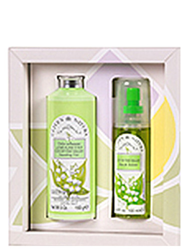 عطر ادکلن لیلی آف د ولی کلایوِن - Lily of the Valley Cliven - بررسی، قیمت و خرید