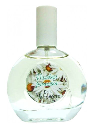 عطر ادکلن وایلد دیزی پوکروفکا تریدینگ هاوس - Wild Daisy Pokrovka Trading House - بررسی، قیمت و خرید
