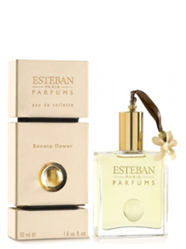 عطر ادکلن سوناتا فلاور اِستبان - Sonata Flower Esteban - بررسی، قیمت و خرید