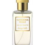 عطر ادکلن گاردنیا رئال بوتگا ورده - Gardenia Reale Bottega Verde - بررسی، قیمت و خرید