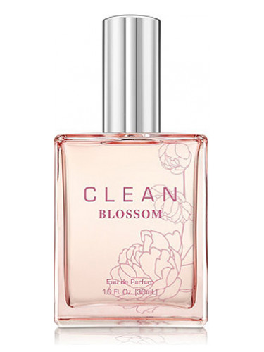 عطر ادکلن کلین بلوسم کلین - Clean Blossom Clean - بررسی، قیمت و خرید