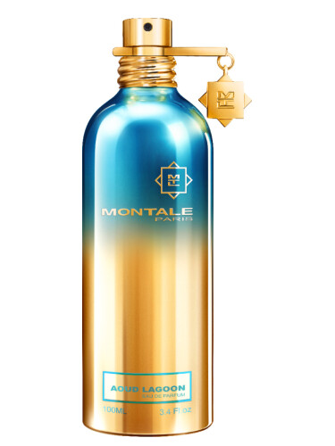 عطر ادکلن اُود لاگون مونتال - Aoud Lagoon Montale - بررسی، قیمت و خرید