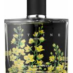 عطر ادکلن سیترین نست - Citrine Nest - بررسی، قیمت و خرید