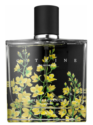 عطر ادکلن سیترین نست - Citrine Nest - بررسی، قیمت و خرید