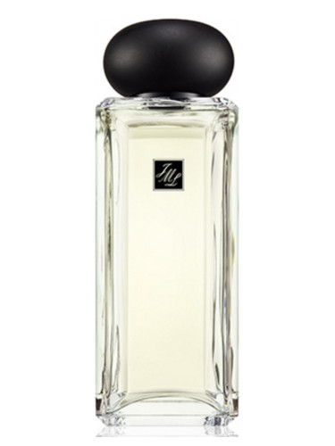 عطر ادکلن سیلور نیدل تی جو مالون لندن - Silver Needle Tea Jo Malone London - بررسی، قیمت و خرید