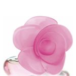 عطر ادکلن وری فلاور رزا پوپا - Very Flower Rosa Pupa - بررسی، قیمت و خرید