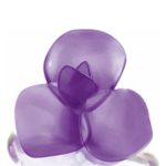 عطر ادکلن ویری فلاور آیریس پوپا - Very Flower Iris Pupa - بررسی، قیمت و خرید
