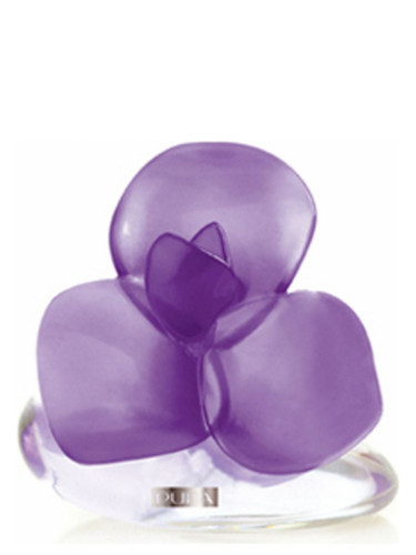 عطر ادکلن ویری فلاور آیریس پوپا - Very Flower Iris Pupa - بررسی، قیمت و خرید