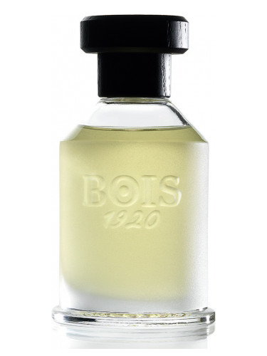 عطر ادکلن روزا ۲۳ بوا ۱۹۲۰ - Rosa 23 Bois 1920 - بررسی، قیمت و خرید