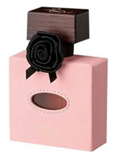 عطر ادکلن کوییغ ونیسیین دیوید ژورکوین - Cuir Venitien David Jourquin - بررسی، قیمت و خرید