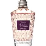 عطر ادکلن داما دا نویت لوکسیتان او برزیل - Dama da Noite L’Occitane Au Brésil - بررسی، قیمت و خرید
