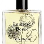 عطر ادکلن لومیر دوره میلهریس - Lumière Dorée Miller Harris - بررسی، قیمت و خرید