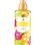 عطر ادکلن لمون پارادایس ویکتوریا سکرت - Lemon Paradise Victoria's Secret - بررسی، قیمت و خرید