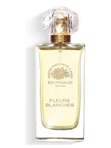 عطر ادکلن فلور بلانش اد پینو - Fleurs Blanches Ed Pinaud - بررسی، قیمت و خرید
