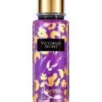 عطر ادکلن بیاند ویکتوریا سیکرت - Beyond Victoria's Secret - بررسی، قیمت و خرید