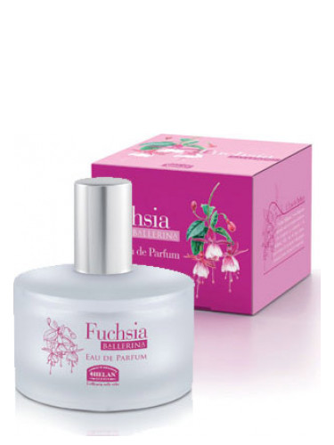 عطر ادکلن فوشیا بالرینا هلن - Fuchsia Ballerina Helan - بررسی، قیمت و خرید